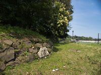 Hikonegenkyuen7.jpg