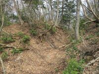OdaniOhzukujou (1).jpg