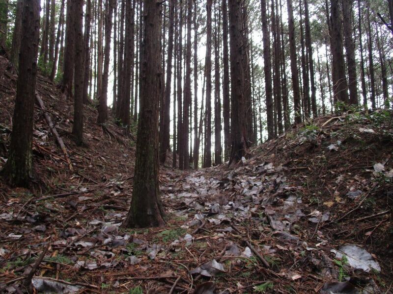 File:Shiijou (36).jpg