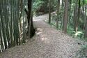 Tsumago3.jpg