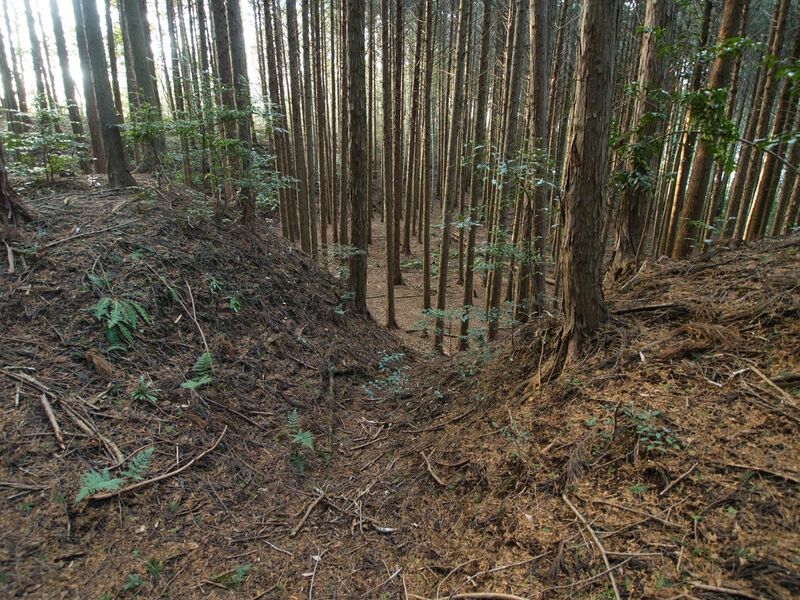 File:Uenokoka17.jpg