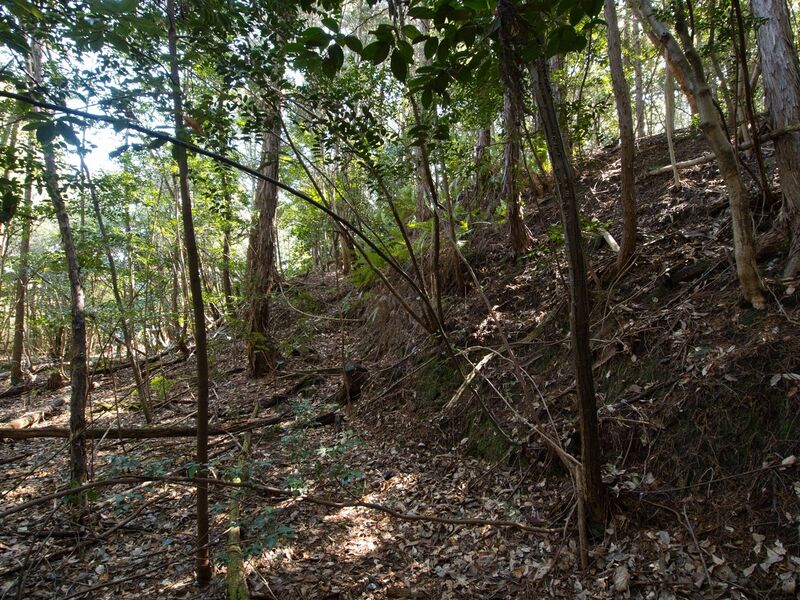 File:Higashimaruokakoka12.jpg