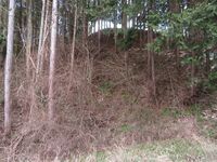 InaInamurajou (4).JPG