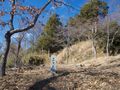 Thumbnail for version as of 22:03, 2 May 2020
