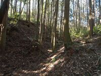 Kokashingushi7.jpg
