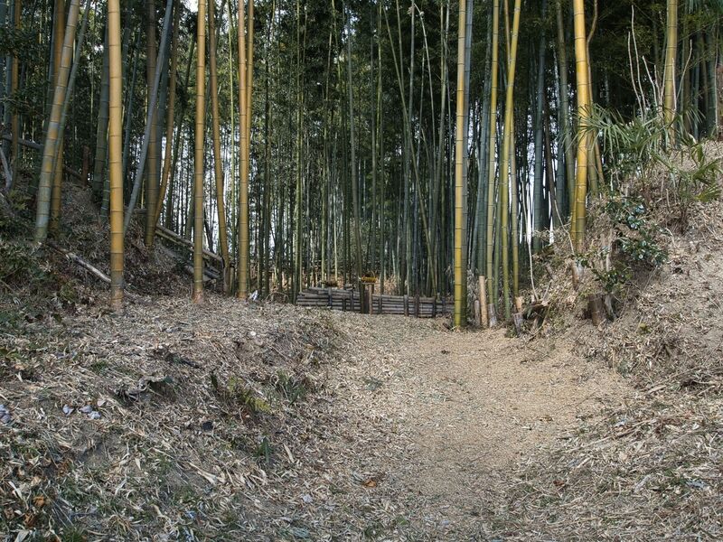 File:Takenakakoka3.jpg