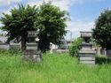 AnshouJinya (3).jpg