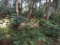 Azuchi east45.jpg