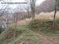 Thumbnail for version as of 22:13, 12 January 2020