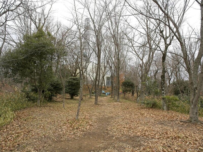 File:Iimori9.jpg