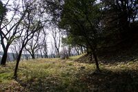 Isobe11.jpg