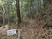 Kaseyamakyoto3.jpg