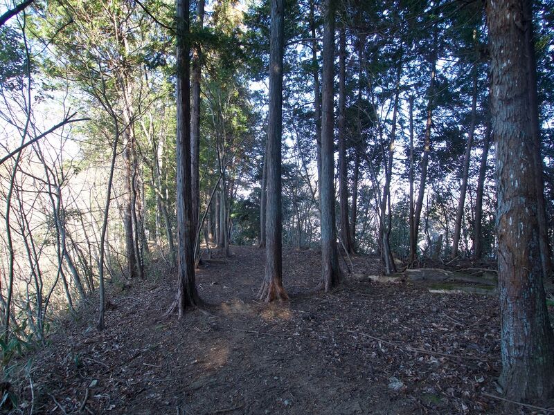 File:Katsuyamatsuru21.jpg