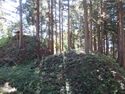 MinamiKumai02.JPG