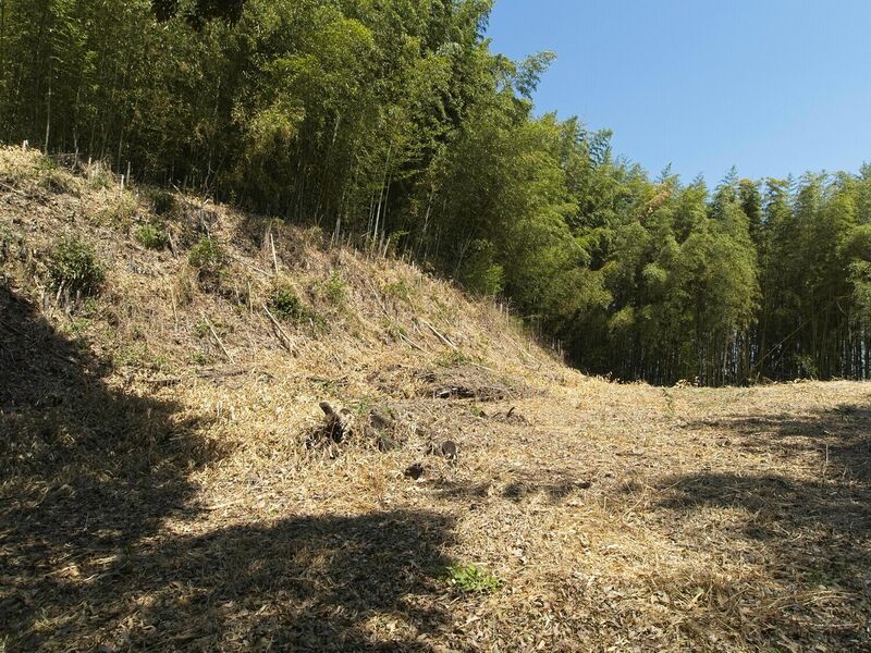 File:Minowa60.jpg