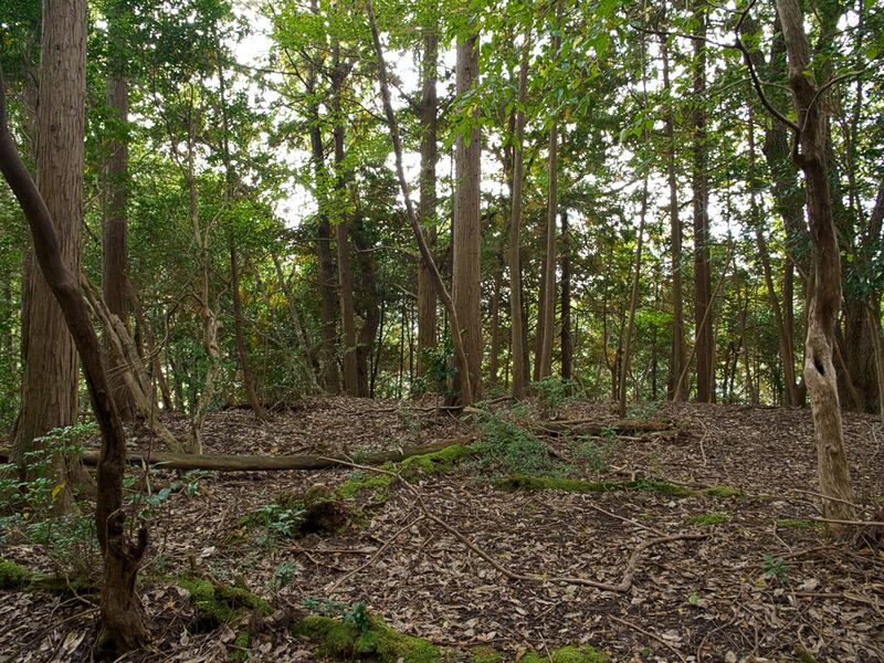 File:Okudanitanba6.jpg