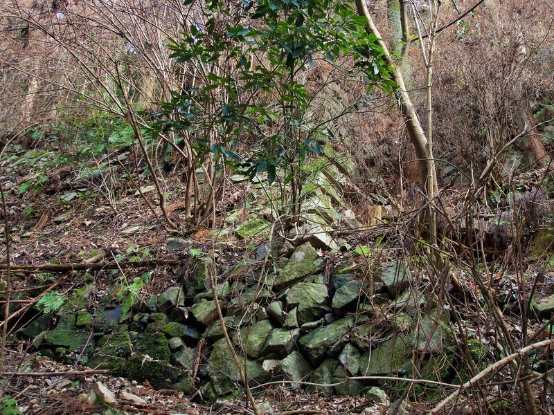 File:Takatori143.jpg