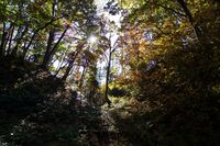 Tateyama yamagata29.jpg