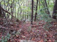 YakyuuToride (11).jpg