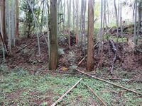 ChikuzenSakatajou (17).JPG