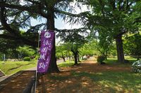 Gion18.jpg
