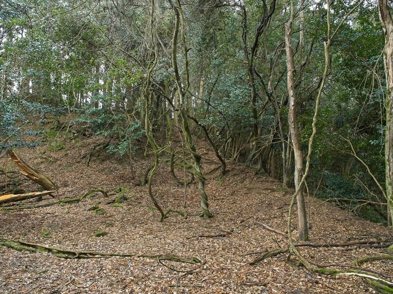File:Goryu17.jpg