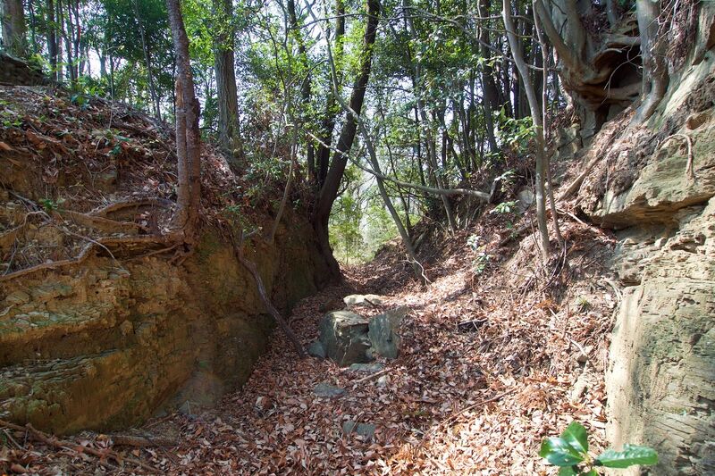 File:Hanazono35.jpg