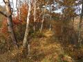 Thumbnail for version as of 22:05, 12 January 2020