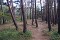 Thumbnail for version as of 13:24, 24 June 2017