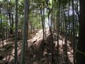 Iwazujou (14).jpg