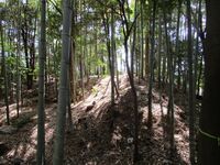 Iwazujou (14).jpg