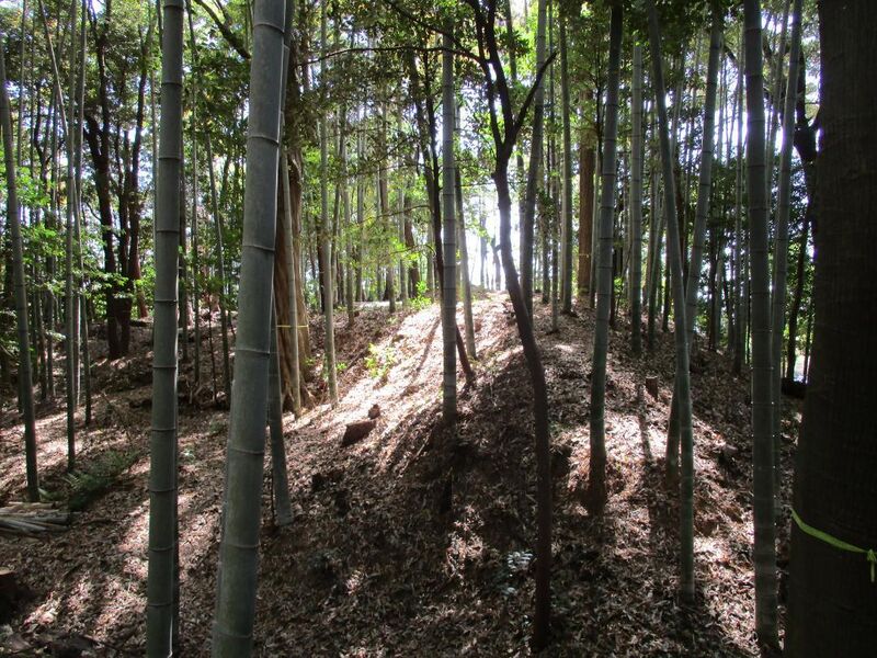 File:Iwazujou (14).jpg