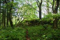 Kakunodate124.jpg