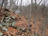 Matsuoko15.jpg