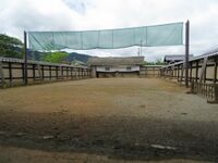 MatsushirojouHankouA085.jpg