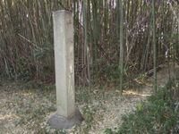 MikawaTakenoyajou (4).jpg