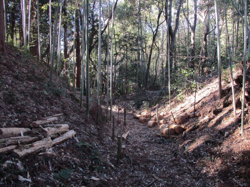File:Ohnodajou (18).jpg