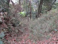 SurugaIsshikijou (2).JPG