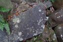 Usami nakoyama quarry46.jpg