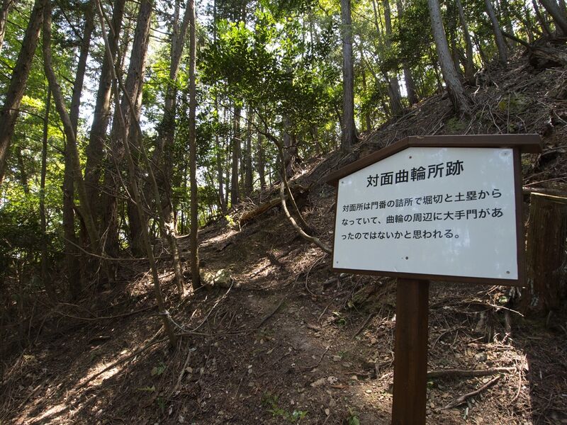 File:Yagitanba58.jpg