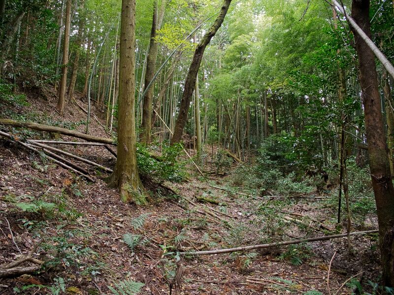 File:Yakamitanba7.jpg
