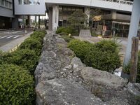 Fukuikokuin33.jpg