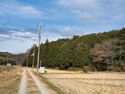 Inokurakyoto38.jpg