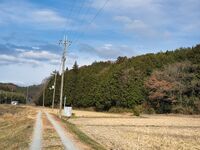 Inokurakyoto38.jpg
