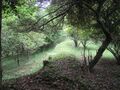 Thumbnail for version as of 13:36, 20 June 2023