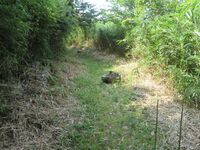 MinakuchiOkayama (4).JPG