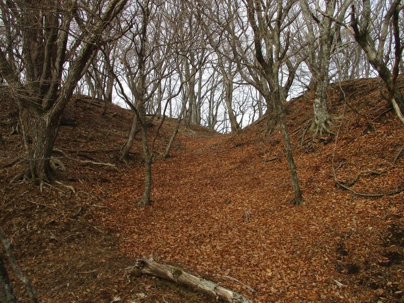 File:MisakajouC (13).jpg