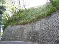 NagasakaueToride (4).JPG