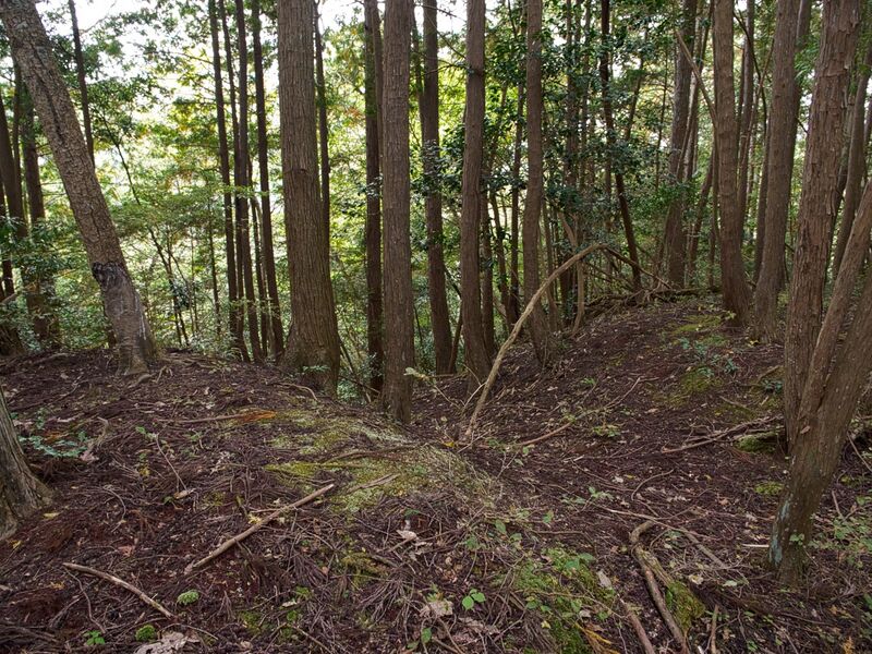 File:Okudanitanba5.jpg