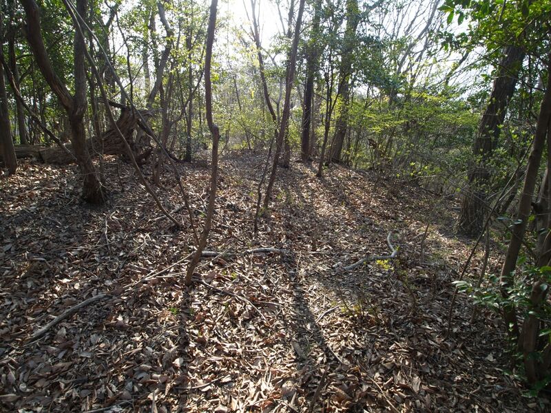 File:Teusu5.jpg